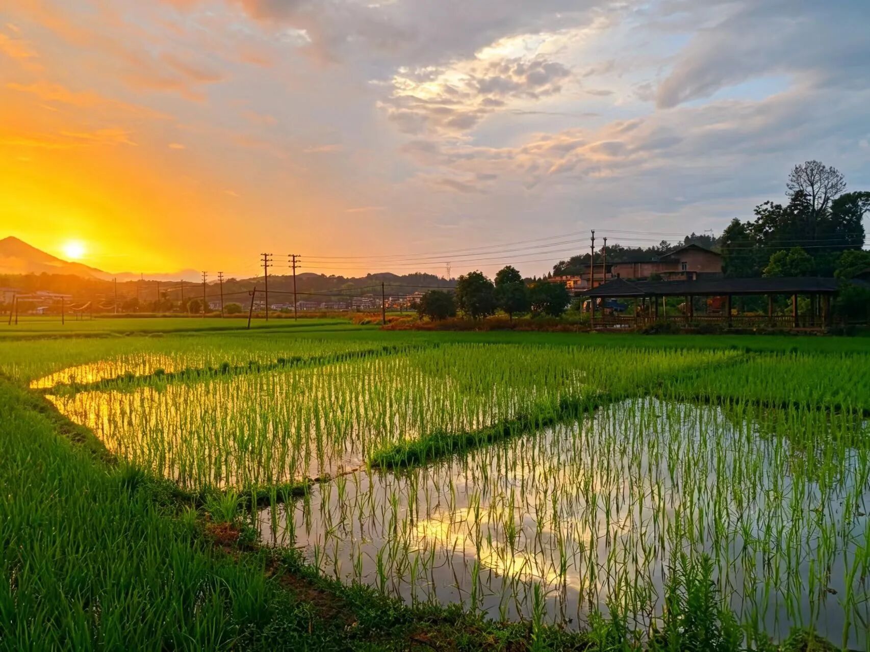 永泰同安的山野大地被雨水彻底冲刷一新