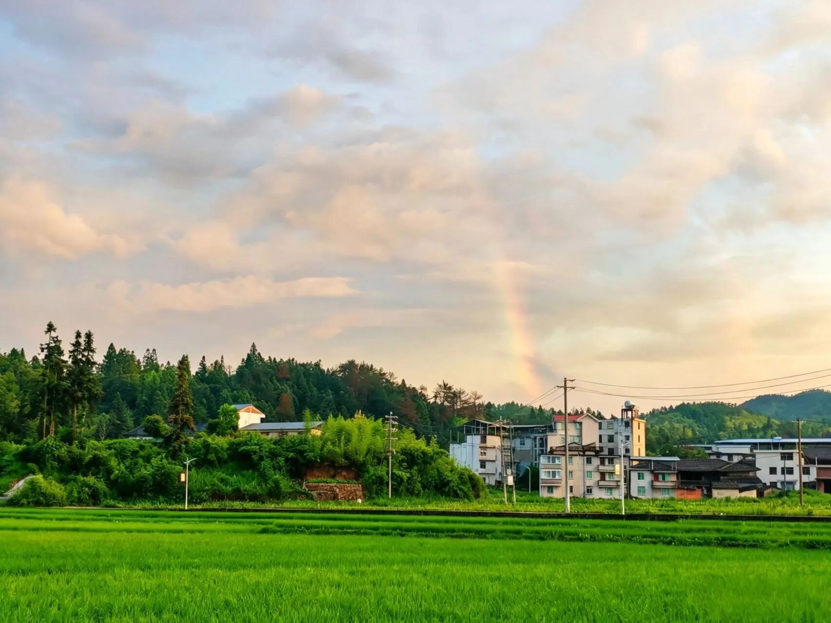 深浅交错的绿意铺满山野