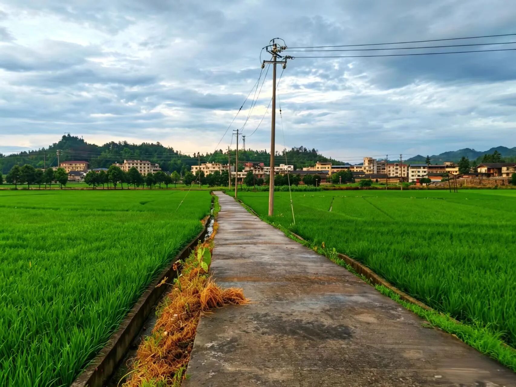 褪去了晴天的燥热，雨后的同安山野凉风习习