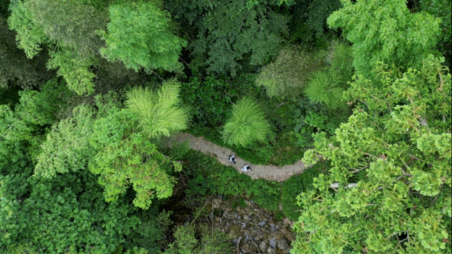 健身步道