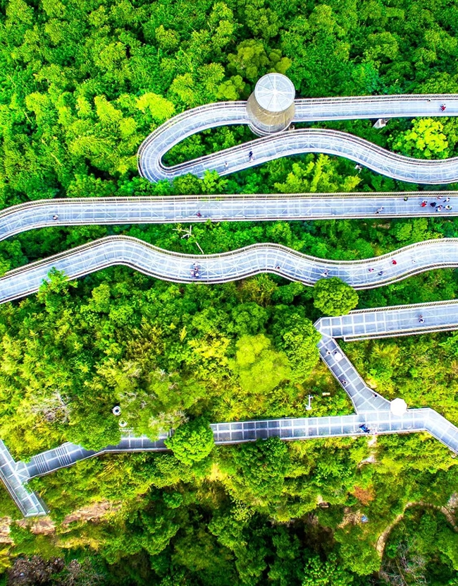 福道
