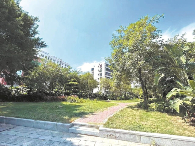 储备用地改造口袋公园