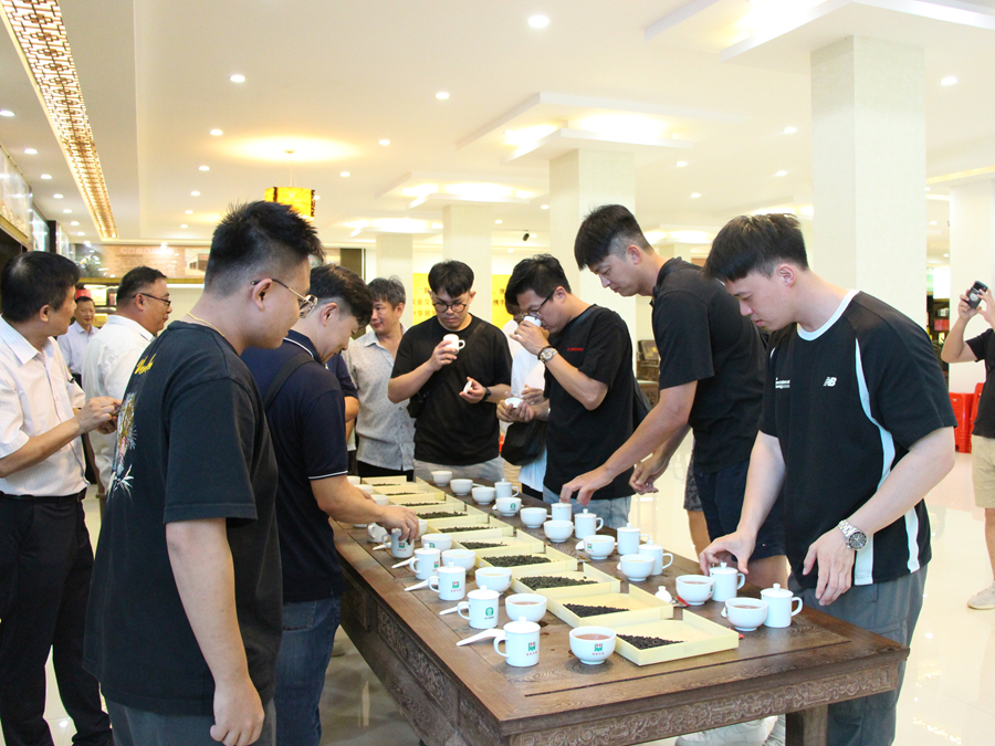 与会人员品鉴台式乌龙茶。连各亲摄
