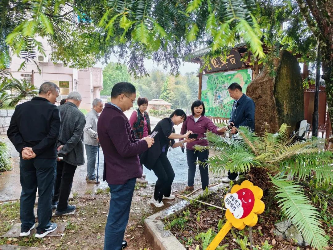 鲍云萍（右二）带旅居客辨识中草药。庄秀萍摄