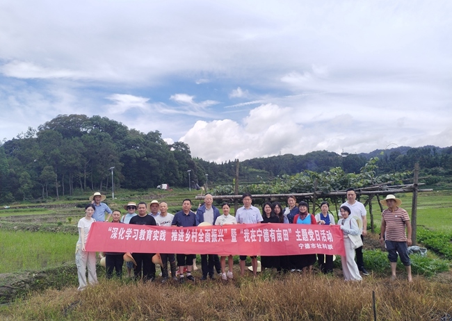 主题党日活动现场。
