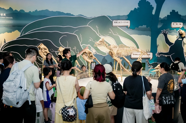 展厅展出60余件珍贵古生物化石标本