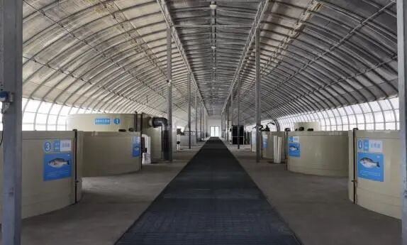 贺兰县蓝湾生态养殖基地养殖大棚