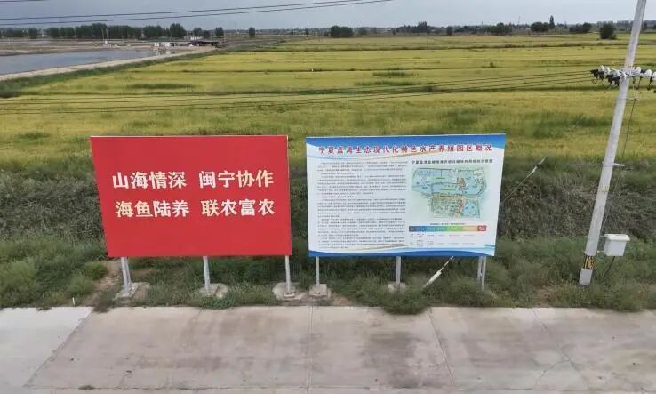 宁夏银川贺兰县蓝湾生态基地