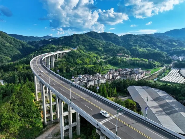青山大道。叶晓晖摄