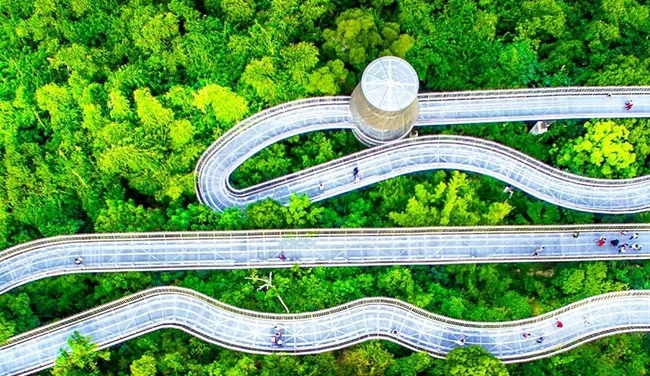 福建森林风景道精品旅游线路全新上线