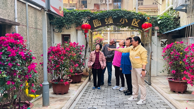 图强小区党支部和网格员现场查看燃气管道安装情况