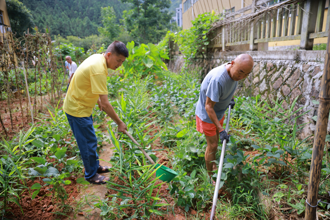村民在幸福菜园打理蔬菜。廖敏恺摄