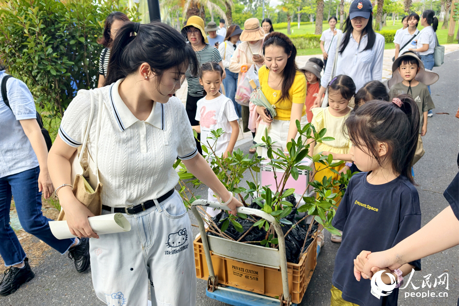 工作人员用拖板车将秋茄幼苗运送到活动现场。人民网记者 陈博摄