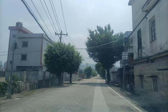 Y684汀溪镇同南路至路下道路改造工程前