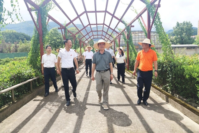 现场调研