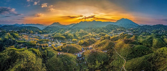 美丽大田
