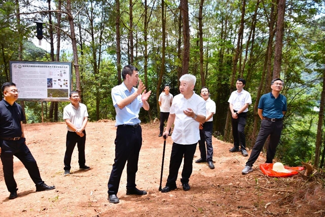 实地调研福建农林大学松材线虫病绿色防控技术示范点建设