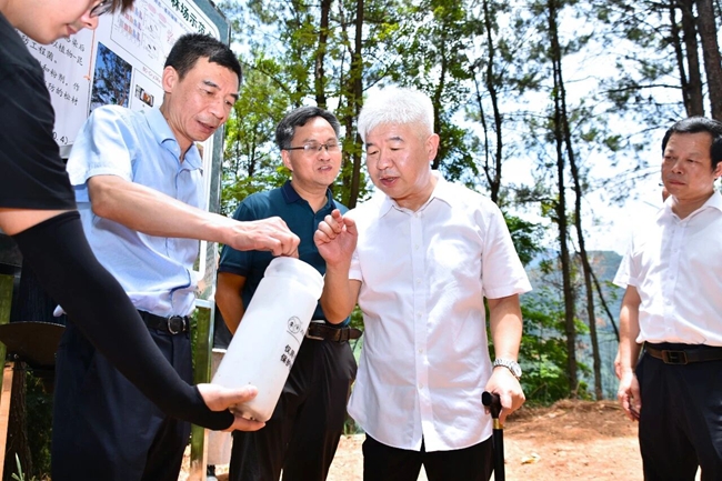 听取松材线虫病绿色防控技术详细介绍