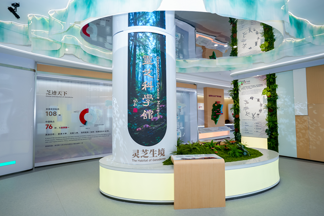 馆内展区