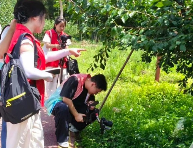实践队探访黄坊村富贵籽种植基地