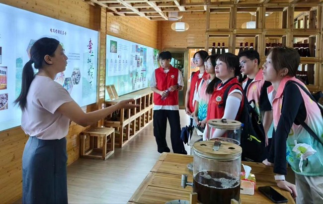实践队员们参观当地农文旅融合项目