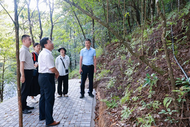 嘉宾进行实地考察