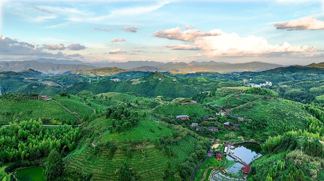 大田县屏山乡“大仙峰·茶美人”景区