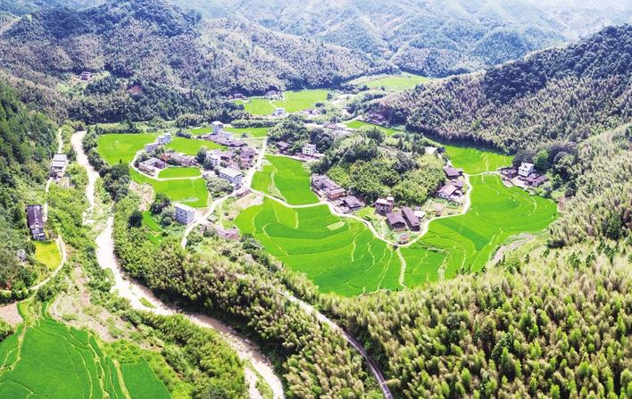 竹山环抱风景如画的尤溪乡村。黄在锦摄