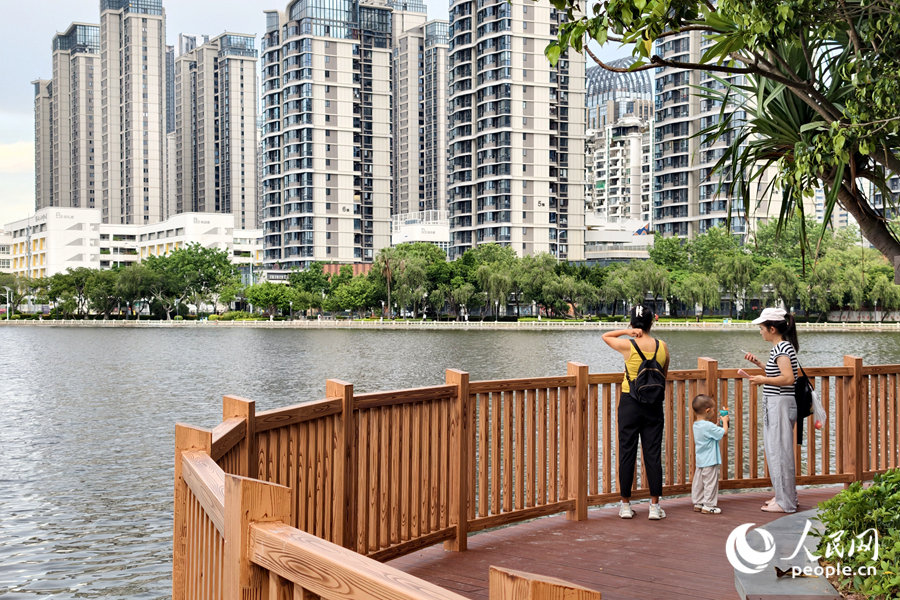 市民在步道上远眺筼筜湖景。人民网记者 陈博摄