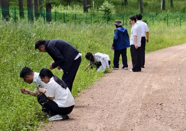 实践队在林业英雄纪念地开展现场调查