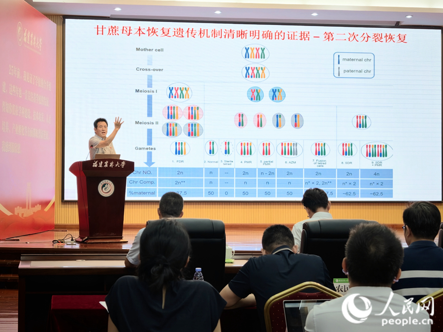 明瑞光在成果发布会上介绍甘蔗母本恢复遗传机制。人民网 杨灏昱摄