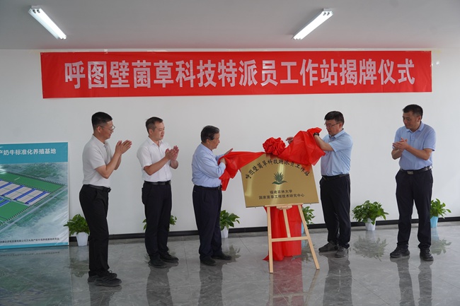 在新疆润泰达农牧发展有限公司举行呼图壁菌草科技特派员工作站揭牌仪式。这是福建农林大学国家菌草工程技术研究中心牵头设立的全国首个菌草科技特派员工作站。