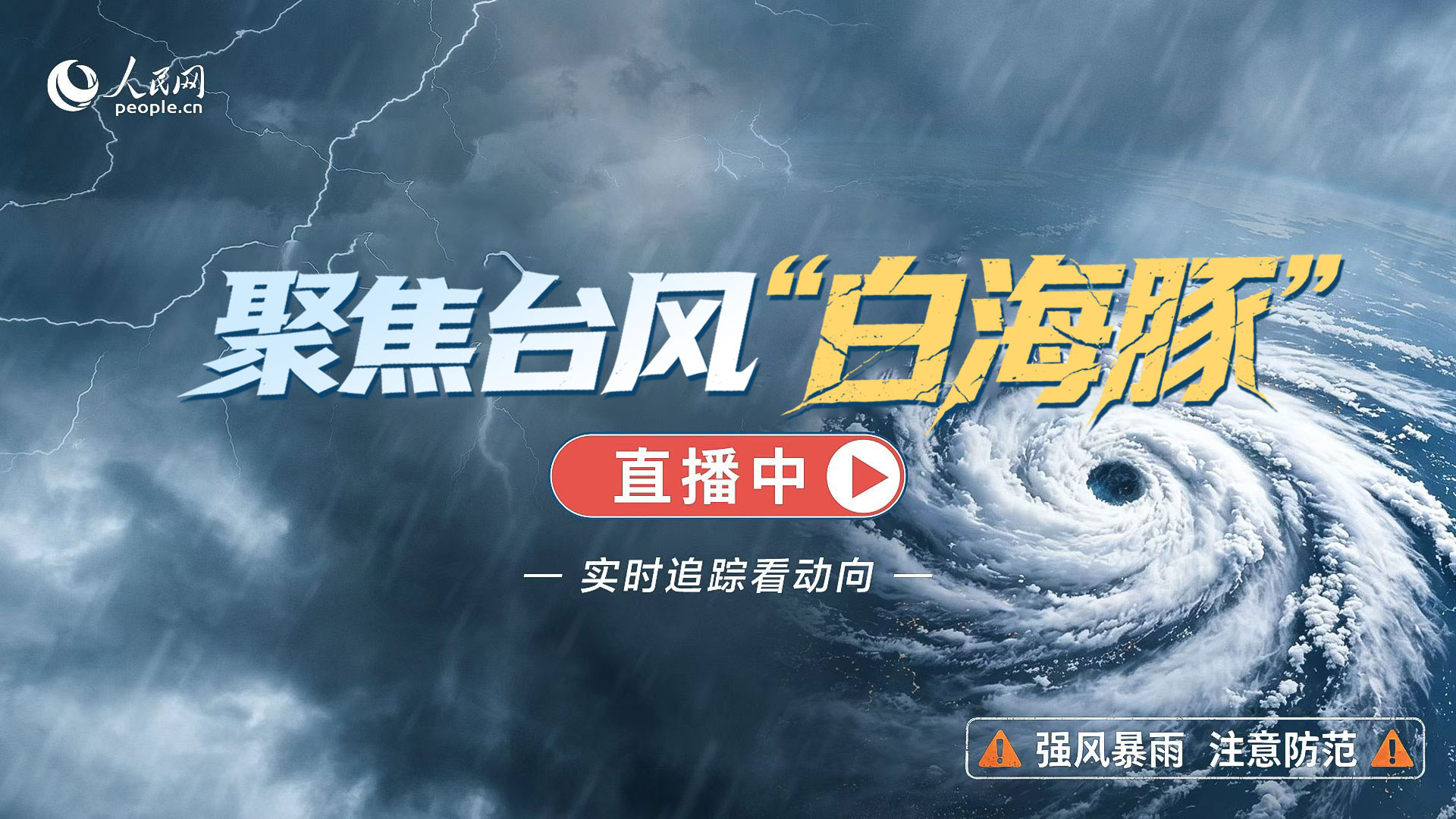 聚焦台风“白海豚”