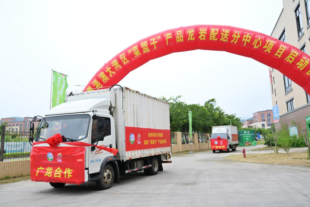 龙岩67个生产基地已入选粤港澳大湾区“菜篮子”基地名录