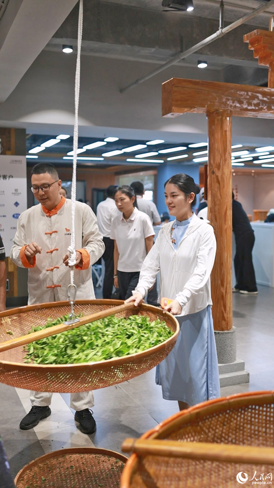 采访团体验铁观音摇青工序，沉浸式感受乌龙茶传统制茶技艺。人民网记者 李昌乾摄