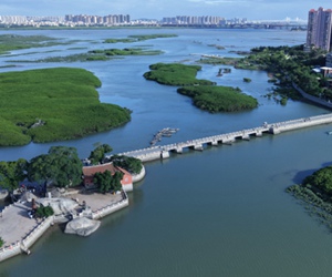 福建洛江：千年古桥“潮”起来/