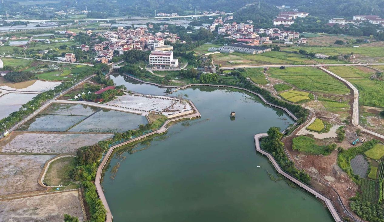 厦门海沧：破局“巴掌地” 建成“富民田”