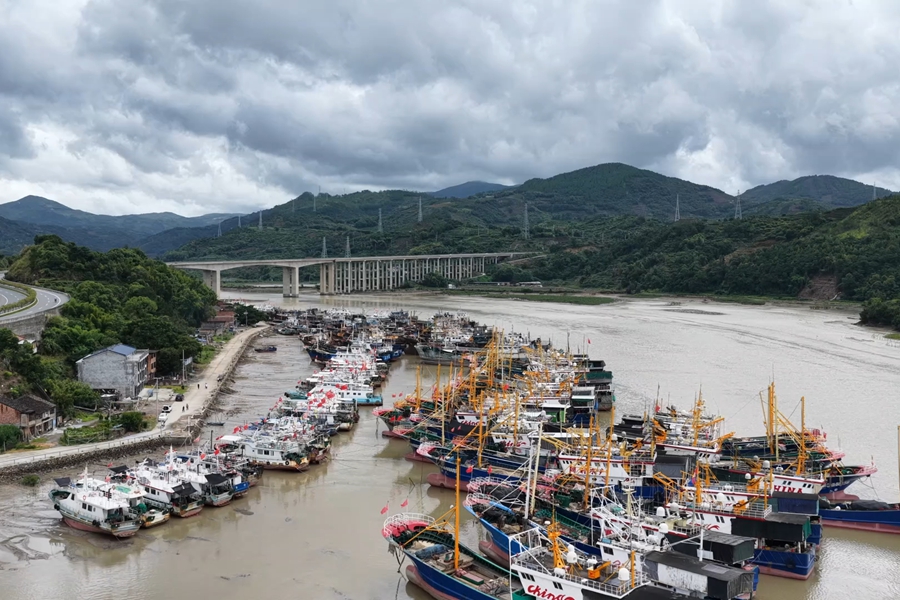 为防御台风,宁德市全部渔船在安全区域停靠。福鼎市融媒体中心供图