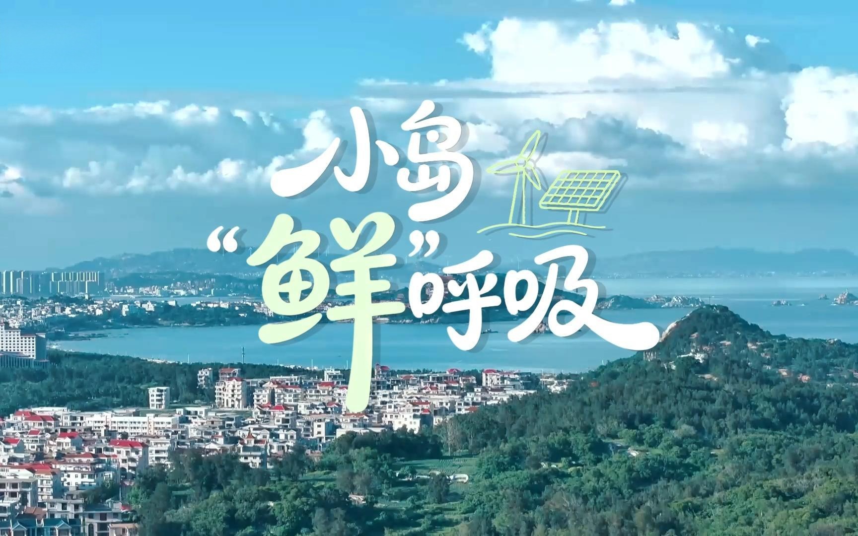 行进中国 | 这个海岛，“见缝插针”追“零碳”