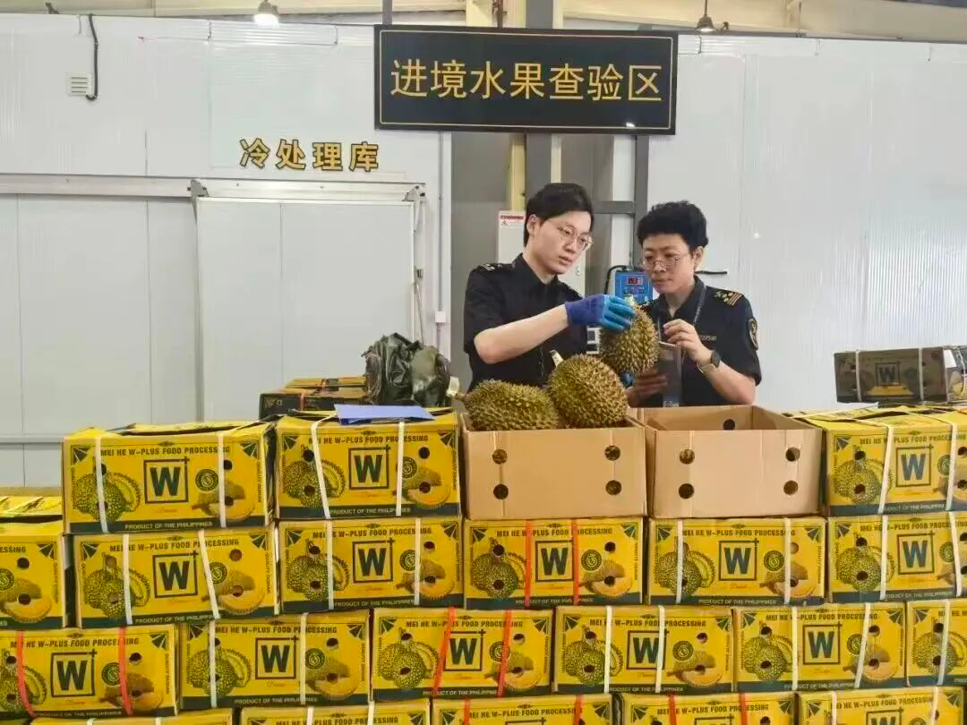 泉州口岸进境水果检验区