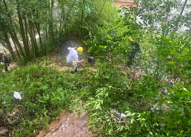 楮坪乡苏家洋村干部群众抢挖沟渠。楮坪乡供图