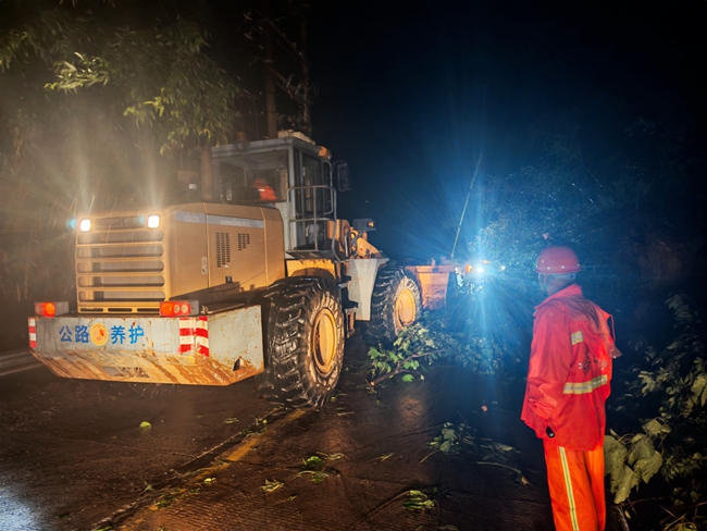9月1日，霞浦公路中心连夜紧急清理S201线北山里倒伏树木