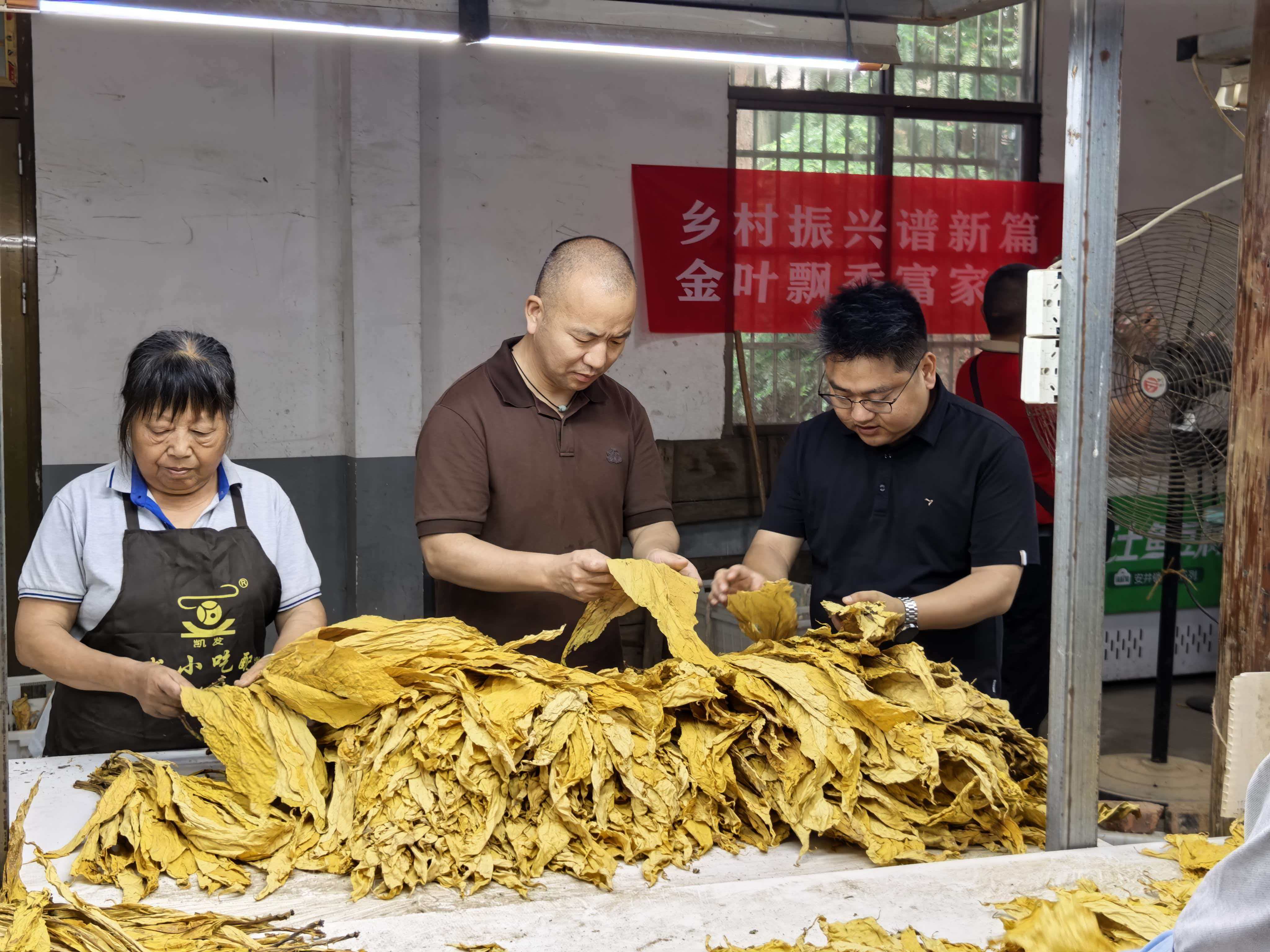 方正华（左二）与浦城烟草局技术员交流定制化开发烟叶质量情况。