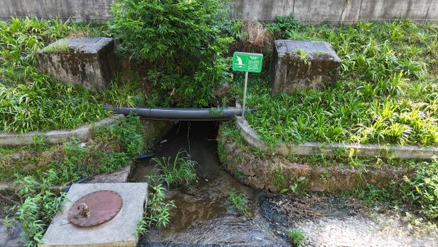 龙山溪华鑫桥排水口