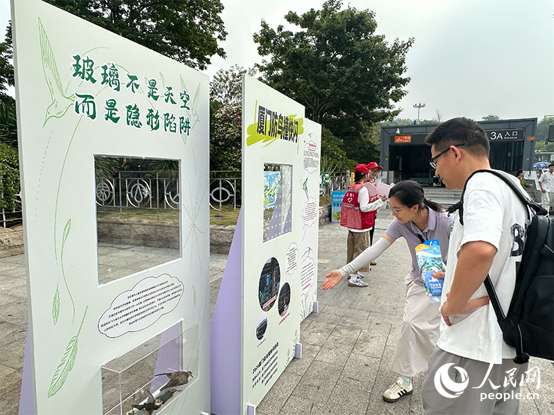 防鸟撞快闪展区。人民网记者 张萌摄