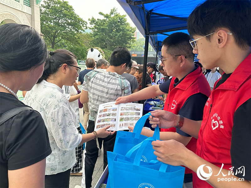 活动现场，志愿者们正在发放宣传材料。人民网记者 张萌摄