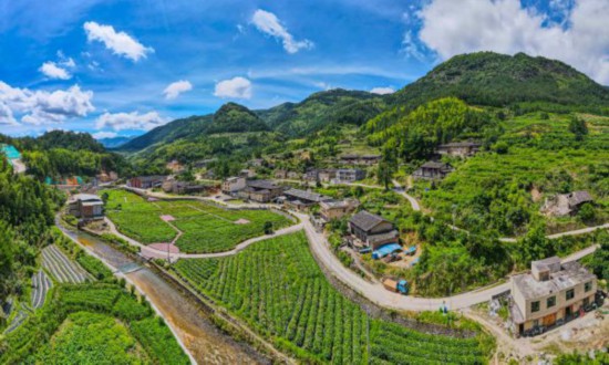 廷坪汶合村绣球花开：闽侯汶合村良地自然村航拍图（石美祥 摄） (1)