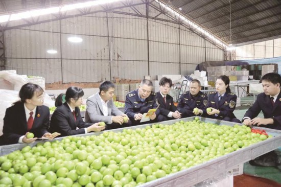 云霄县市场监督管理局党员干部下沉农业经营主体指导