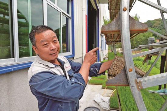 周開躍查看“立體育秧機”上的秧苗長勢。