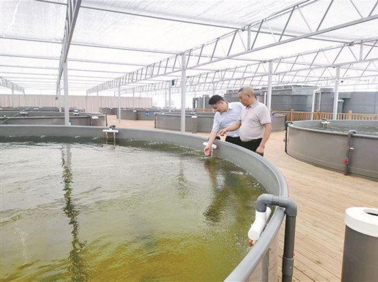 厦门建行工作人员深入企业，了解发展情况，提供金融服务。厦门建行供图